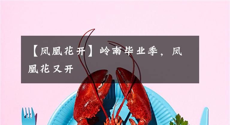 【凤凰花开】岭南毕业季，凤凰花又开