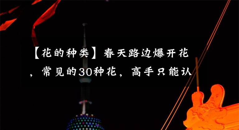 【花的种类】春天路边爆开花，常见的30种花，高手只能认识20种