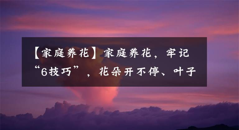 【家庭养花】家庭养花，牢记“6技巧”，花朵开不停、叶子绿油油、健壮旺盛