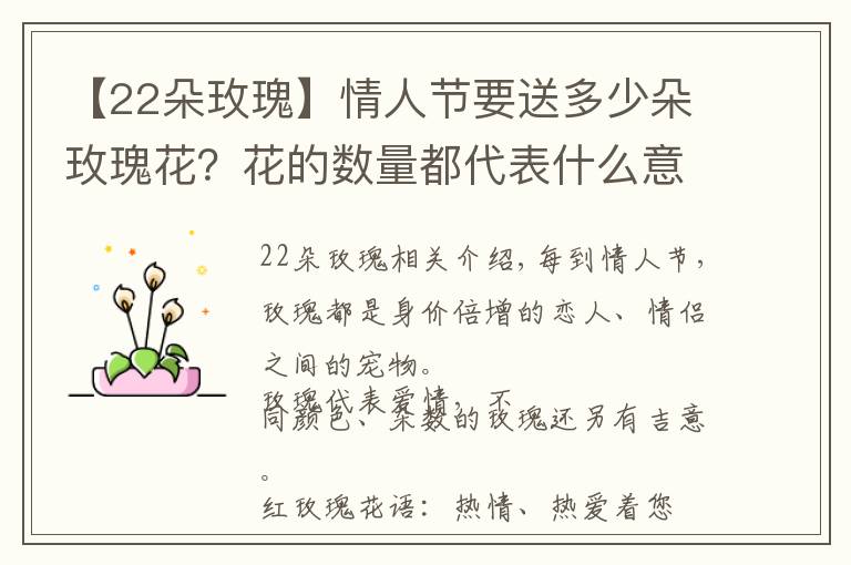 【22朵玫瑰】情人节要送多少朵玫瑰花？花的数量都代表什么意思文章配图