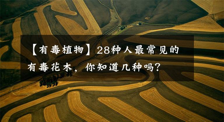 【有毒植物】28种人最常见的有毒花木，你知道几种吗？文章配图