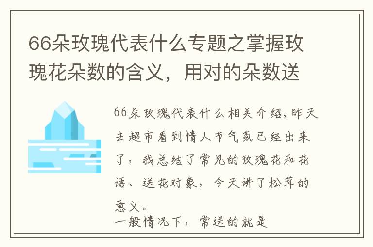 66朵玫瑰代表什么专题之掌握玫瑰花朵数的含义，用对的朵数送对的人！