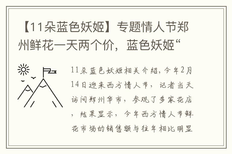 【11朵蓝色妖姬】专题情人节郑州鲜花一天两个价，蓝色妖姬“妖”不起，99朵红玫瑰成爆款文章配图