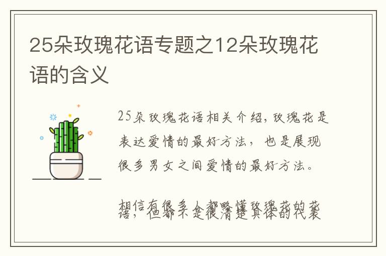 25朵玫瑰花语专题之12朵玫瑰花语的含义文章配图