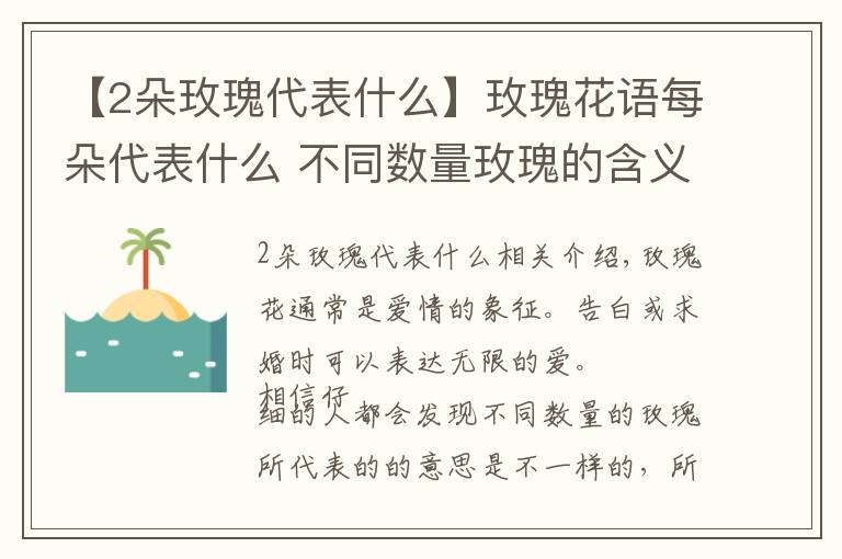 【2朵玫瑰代表什么】玫瑰花语每朵代表什么 不同数量玫瑰的含义文章配图