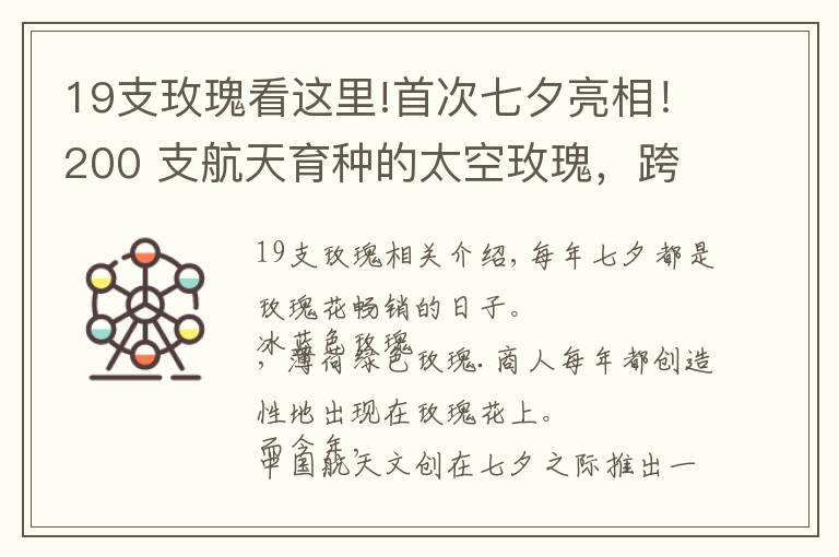 19支玫瑰看这里!首次七夕亮相！200 支航天育种的太空玫瑰，跨越星空而来！网友：这就是航天人的浪漫呀文章配图