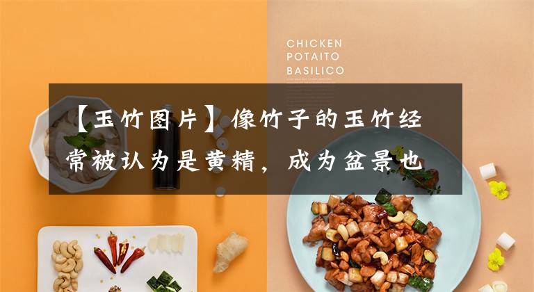 【玉竹图片】像竹子的玉竹经常被认为是黄精，成为盆景也可以入药，遇到挖回家的情况文章配图