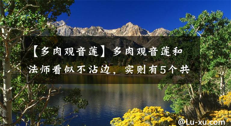 【多肉观音莲】多肉观音莲和法师看似不沾边，实则有5个共同点，养法也大体相同