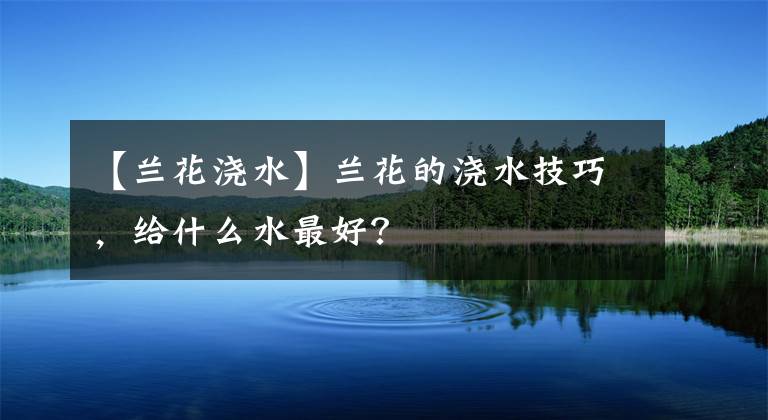 【兰花浇水】兰花的浇水技巧，给什么水最好？