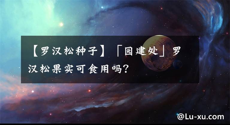 【罗汉松种子】「园建处」罗汉松果实可食用吗？