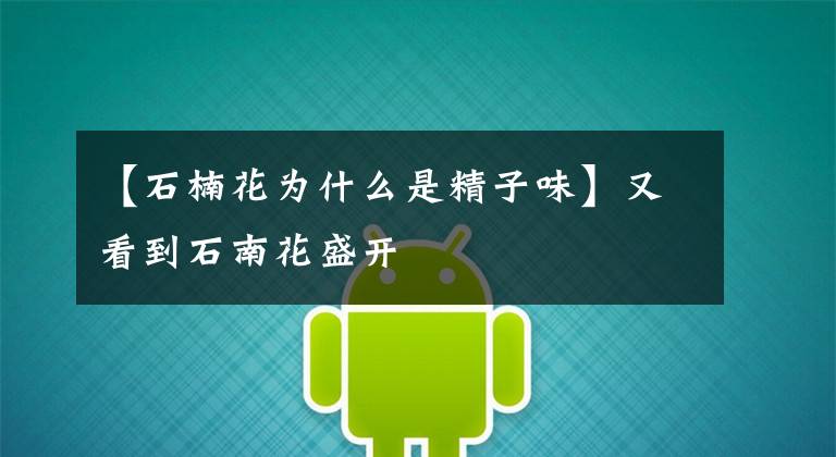 【石楠花为什么是精子味】又看到石南花盛开文章配图