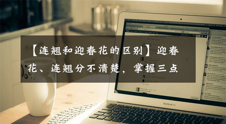 【连翘和迎春花的区别】迎春花、连翘分不清楚，掌握三点，一目了然