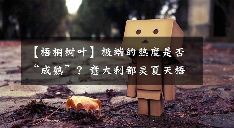 【梧桐树叶】极端的热度是否“成熟”？意大利都灵夏天梧桐树的叶子枯萎了