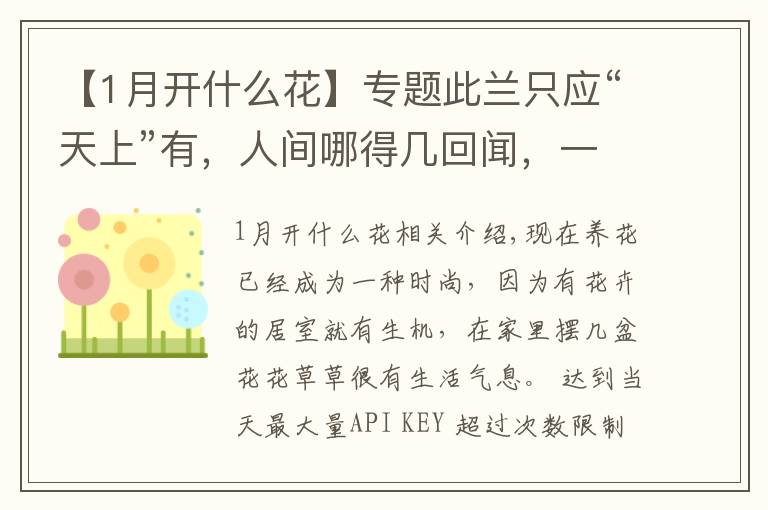 【1月开什么花】专题此兰只应“天上”有，人间哪得几回闻，一花双色，很多人没见过文章配图