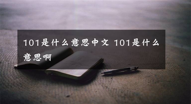 101是什么意思中文 101是什么意思啊