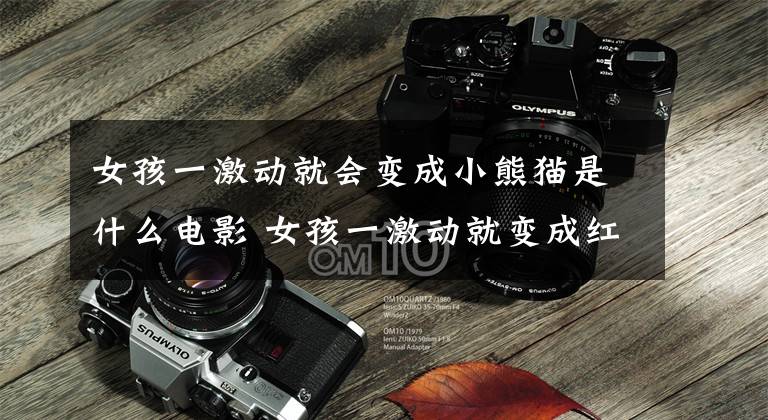 女孩一激动就会变成小熊猫是什么电影 女孩一激动就变成红色的小熊猫文章配图
