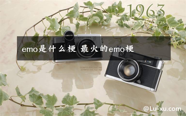 emo是什么梗 最火的emo梗文章配图