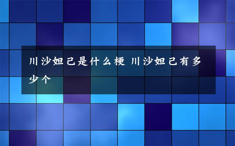 川沙妲己是什么梗 川沙妲己有多少个