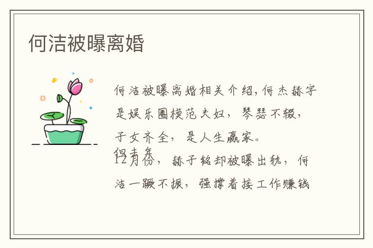 何洁被曝离婚文章配图