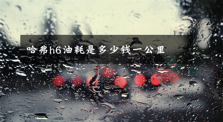 哈弗h6油耗是多少钱一公里文章配图