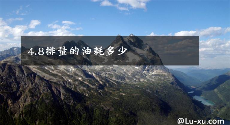 4.8排量的油耗多少文章配图