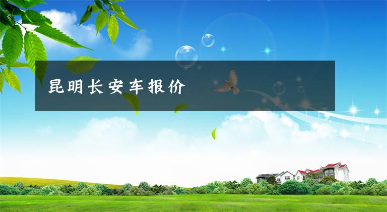 昆明长安车报价文章配图
