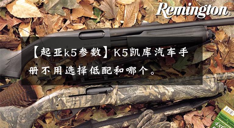 【起亚k5参数】K5凯库汽车手册不用选择低配和哪个。文章配图