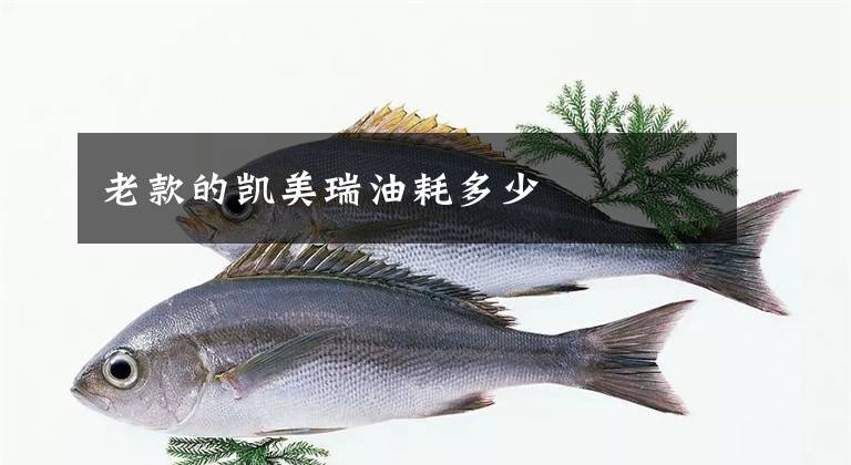 老款的凯美瑞油耗多少文章配图