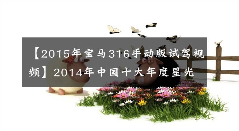 【2015年宝马316手动版试驾视频】2014年中国十大年度星光车型豪华轿车篇宝马3系