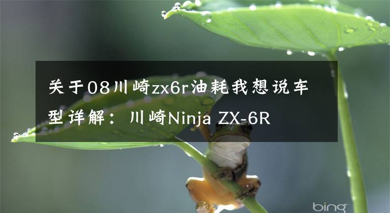 关于08川崎zx6r油耗我想说车型详解：川崎Ninja ZX-6R