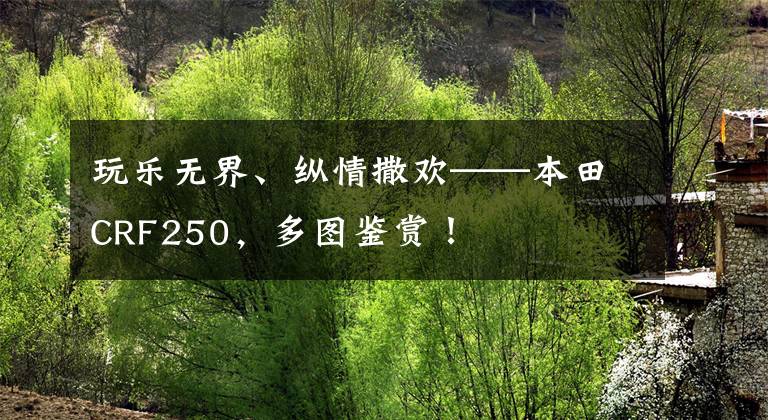 玩乐无界、纵情撒欢——本田CRF250，多图鉴赏！