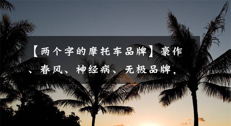 【两个字的摩托车品牌】豪作、春风、神经病、无极品牌，如何排名？文章配图