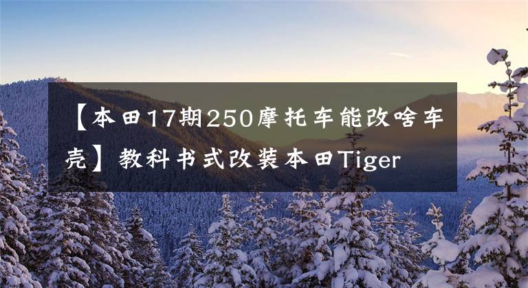 【本田17期250摩托车能改啥车壳】教科书式改装本田Tiger  Levo  2007变身为幻想街斗士