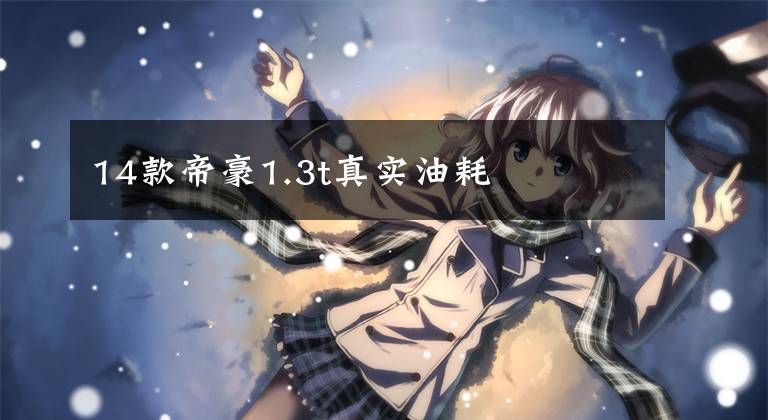 14款帝豪1.3t真实油耗文章配图
