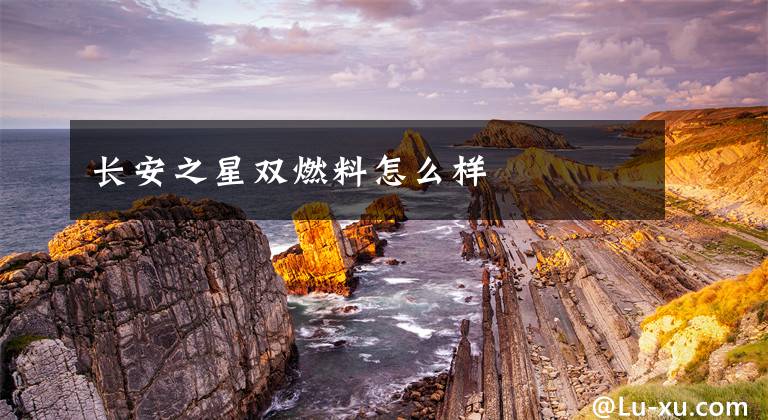 长安之星双燃料怎么样文章配图