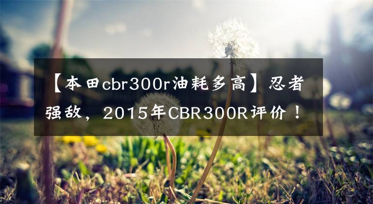 【本田cbr300r油耗多高】忍者强敌，2015年CBR300R评价！