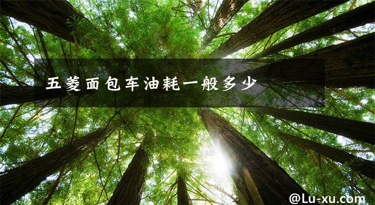 五菱面包车油耗一般多少文章配图