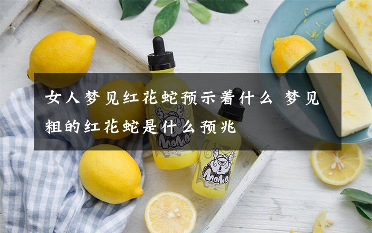 女人梦见红花蛇预示着什么 梦见粗的红花蛇是什么预兆