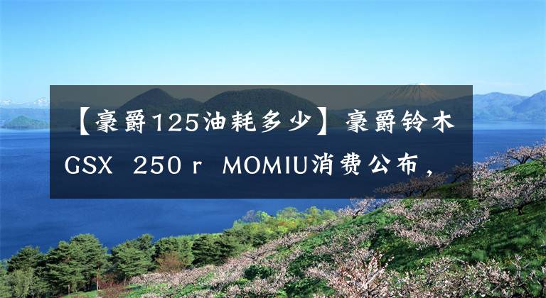 【豪爵125油耗多少】豪爵铃木GSX 250 r MOMIU消费公布，你怎么看？文章配图