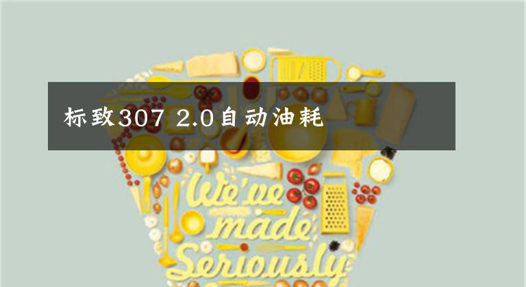 标致307 2.0自动油耗文章配图