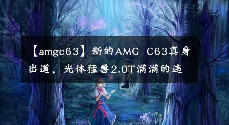 【amgc63】新的AMG  C63真身出道，光体猛兽2.0T满满的违和感。文章配图