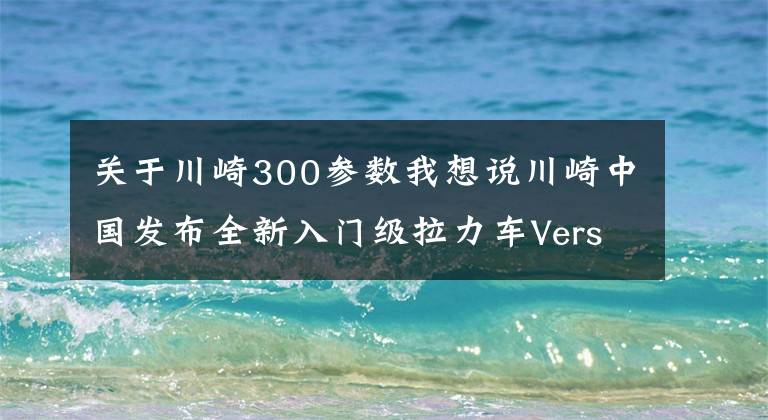 关于川崎300参数我想说川崎中国发布全新入门级拉力车Versys-X300售价：47500元起