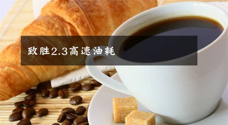 致胜2.3高速油耗文章配图