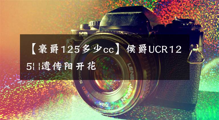 【豪爵125多少cc】侯爵UCR125| |遗传阳开花文章配图