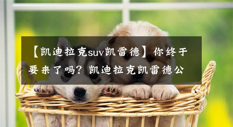 【凯迪拉克suv凯雷德】你终于要来了吗？凯迪拉克凯雷德公式分析]文章配图