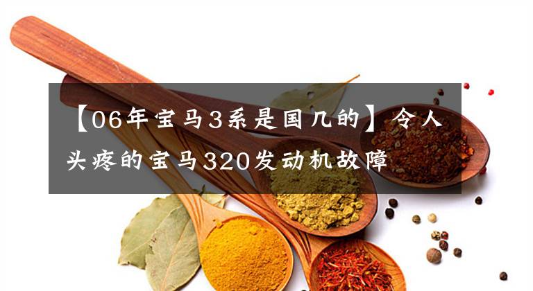 【06年宝马3系是国几的】令人头疼的宝马320发动机故障文章配图