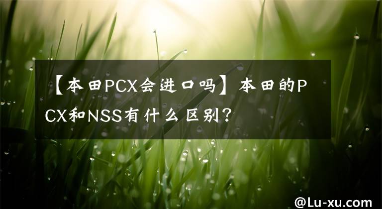 【本田PCX会进口吗】本田的PCX和NSS有什么区别？