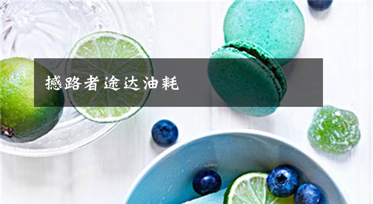 撼路者途达油耗文章配图