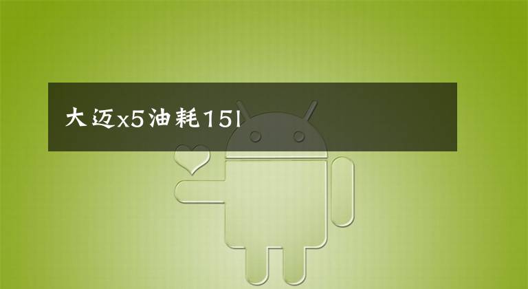 大迈x5油耗15l文章配图