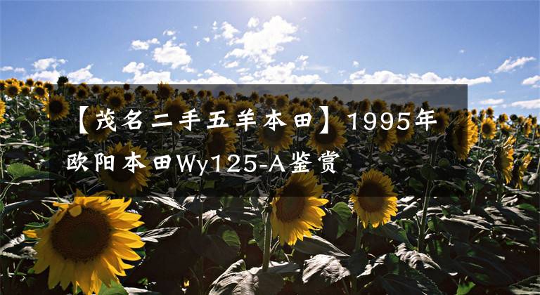 【茂名二手五羊本田】1995年欧阳本田Wy125-A鉴赏